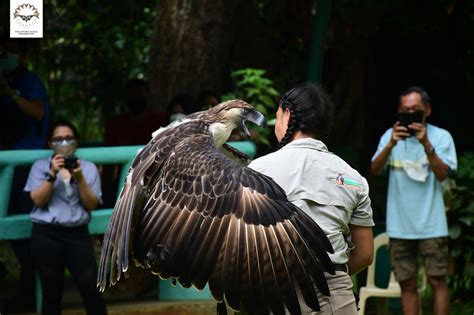 Philippine Eagle Center – Philippine Eagle Foundation .